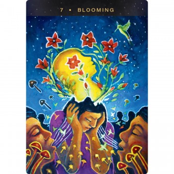 Sacred Mushroom Oracle kortos Hay House